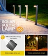 solar pathway lamp
